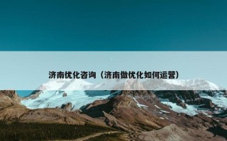 济南优化咨询（济南做优化如何运营）