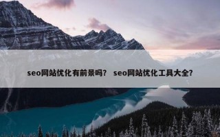 seo网站优化有前景吗？ seo网站优化工具大全？