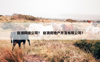 巨源网络公司？ 巨源房地产开发有限公司？