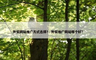 外贸网站推广方式选择？ 外贸推广网站哪个好？