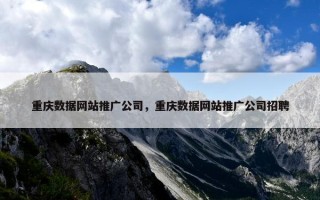 重庆数据网站推广公司，重庆数据网站推广公司招聘