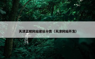 天津正规网站建设分类（天津网站开发）