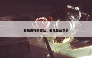云凤蝶移动建站，云凤是啥意思