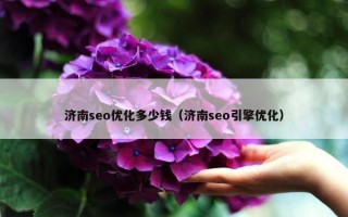 济南seo优化多少钱（济南seo引擎优化）