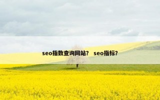 seo指数查询网站？ seo指标？
