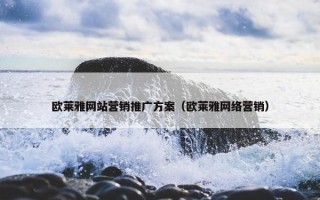 欧莱雅网站营销推广方案（欧莱雅网络营销）