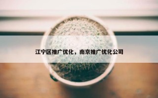 江宁区推广优化，南京推广优化公司