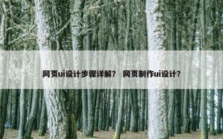 网页ui设计步骤详解？ 网页制作ui设计？