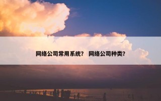网络公司常用系统？ 网络公司种类？