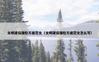 文明建设强检方案范文（文明建设强检方案范文怎么写）