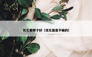 优化者哪个好（优化器是干嘛的）