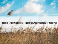 如何自己制作网页dw（如何自己制作网页设计与制作）