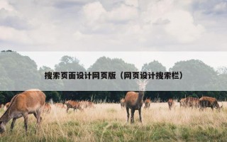 搜索页面设计网页版（网页设计搜索栏）