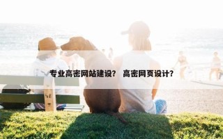 专业高密网站建设？ 高密网页设计？