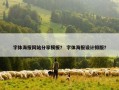字体海报网站分享模板？ 字体海报设计排版？