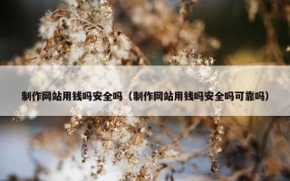 制作网站用钱吗安全吗（制作网站用钱吗安全吗可靠吗）