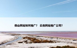 保山网站如何推广？ 云南网站推广公司？