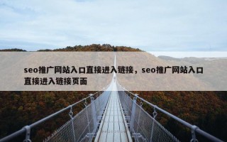seo推广网站入口直接进入链接，seo推广网站入口直接进入链接页面
