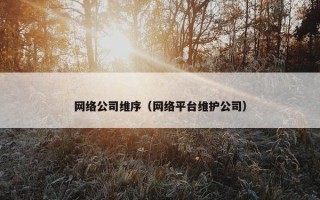 网络公司维序（网络平台维护公司）