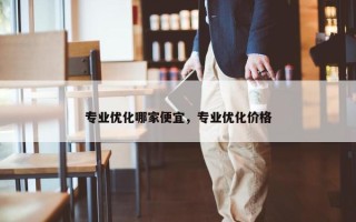 专业优化哪家便宜，专业优化价格
