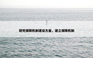研究保障机制建设方案，建立保障机制