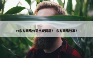 st东方网络公司出现问题？ 东方网络股票？