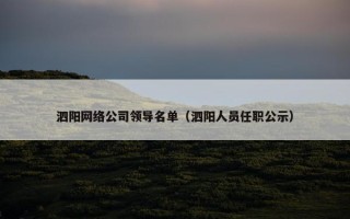 泗阳网络公司领导名单（泗阳人员任职公示）