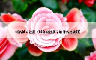 域名被人注册（域名被注册了加什么比较好）