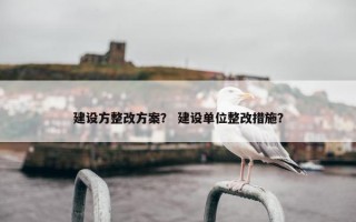 建设方整改方案？ 建设单位整改措施？
