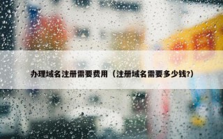 办理域名注册需要费用（注册域名需要多少钱?）