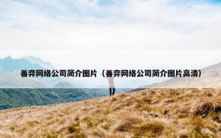 善弈网络公司简介图片（善弈网络公司简介图片高清）