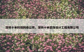 深圳十米科技网络公司，深圳十米装饰设计工程有限公司