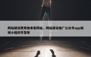 网站建设费用推来客网站，网站建设推广公众号app商城小程序开发等