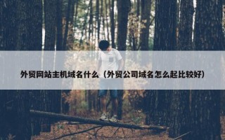 外贸网站主机域名什么（外贸公司域名怎么起比较好）