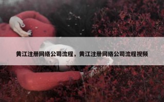 黄江注册网络公司流程，黄江注册网络公司流程视频
