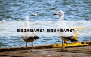 擅自注册他人域名？ 擅自使用他人域名？