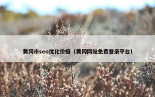 黄冈市seo优化价格（黄冈网站免费登录平台）