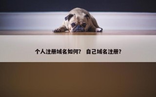 个人注册域名如何？ 自己域名注册？
