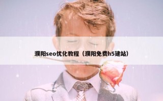 濮阳seo优化教程（濮阳免费h5建站）