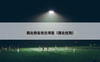 西北排名优化项目（西北优势）