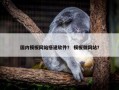 国内模板网站搭建软件？ 模板做网站？