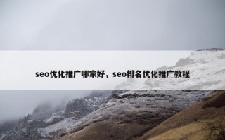 seo优化推广哪家好，seo排名优化推广教程