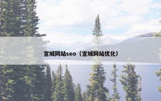 宣城网站seo（宣城网站优化）