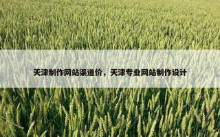 天津制作网站渠道价，天津专业网站制作设计