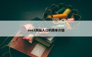 seo1网站入口的简单介绍