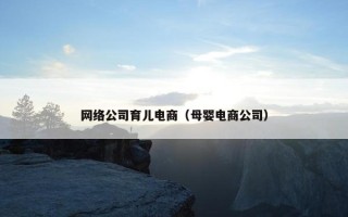 网络公司育儿电商（母婴电商公司）