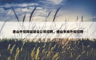 唐山外贸网站建设公司招聘，唐山丰南外贸招聘