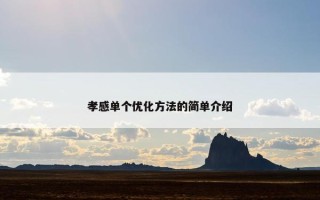 孝感单个优化方法的简单介绍