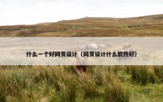 什么一个好网页设计（网页设计什么软件好）