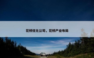 花桥优化公司，花桥产业布局